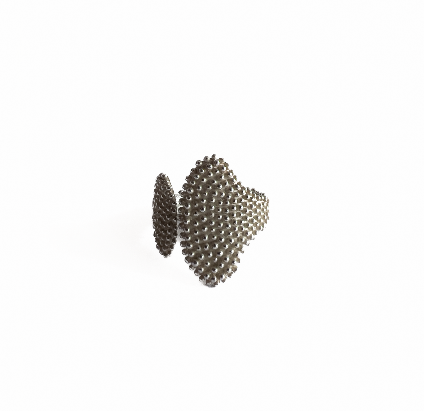 Anillo Marino