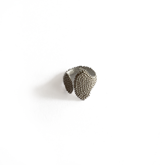 Anillo Marino